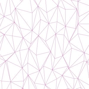 Polygonal Beauty