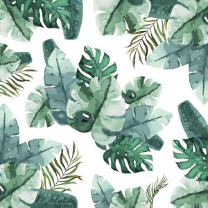 Tropical Nature