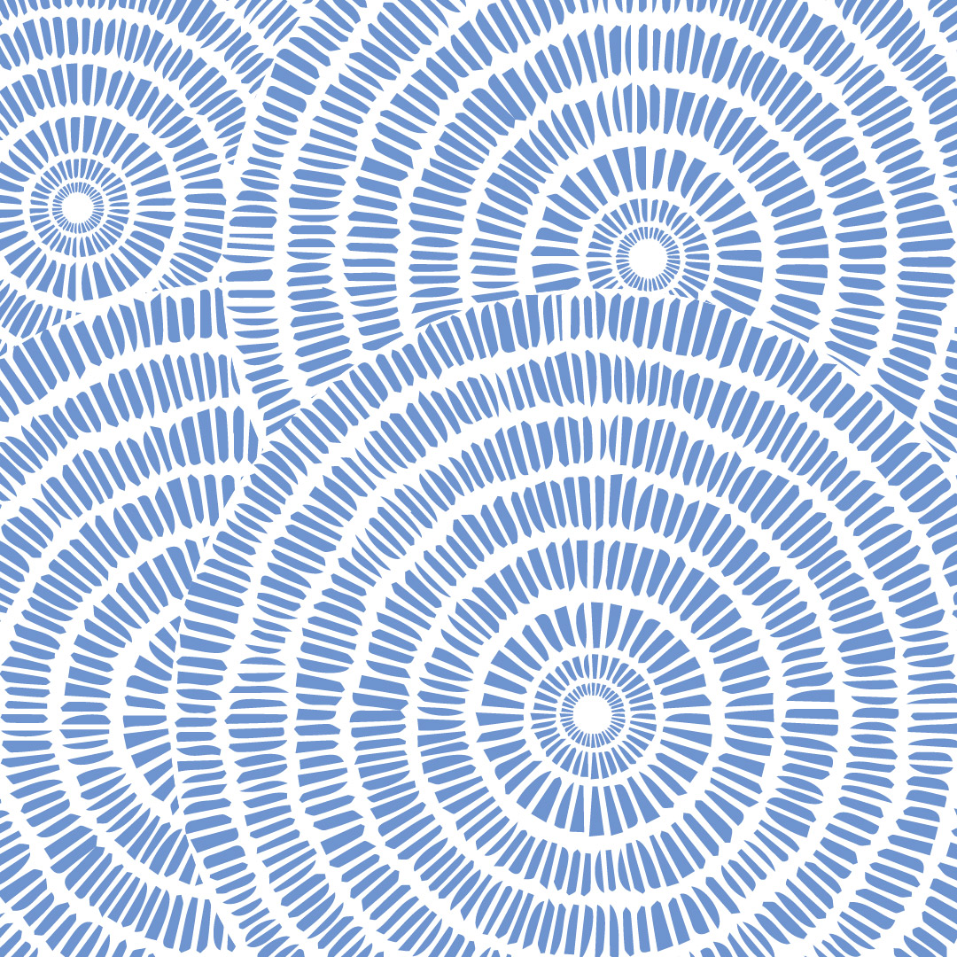 Mandala Irregularities